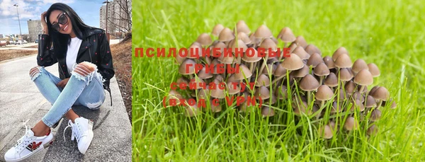 бошки Баксан