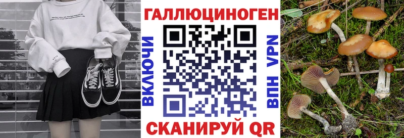 Галлюциногенные грибы мицелий  купить наркотик  Старый Крым 